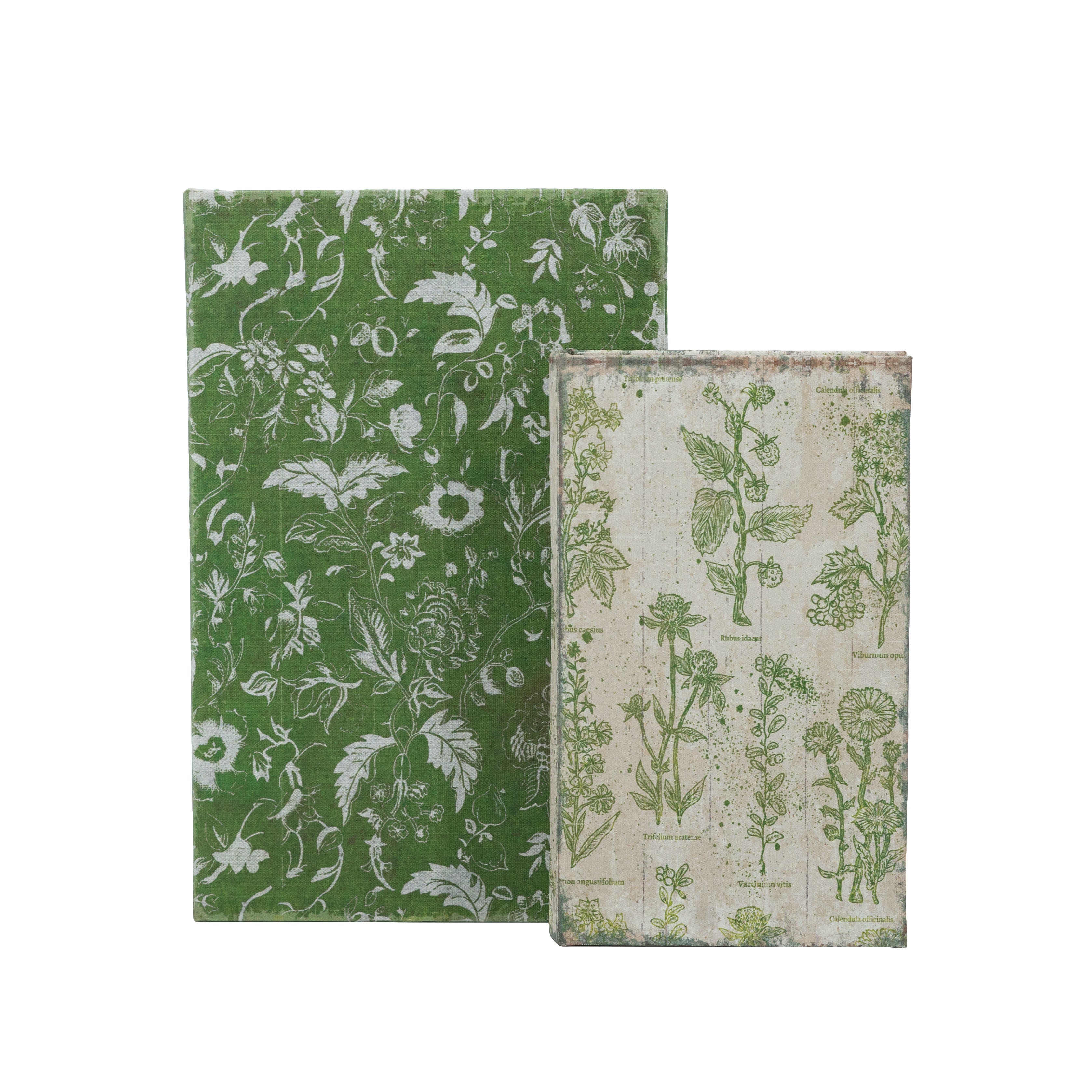 S/2 GREEN BOOK BOXES