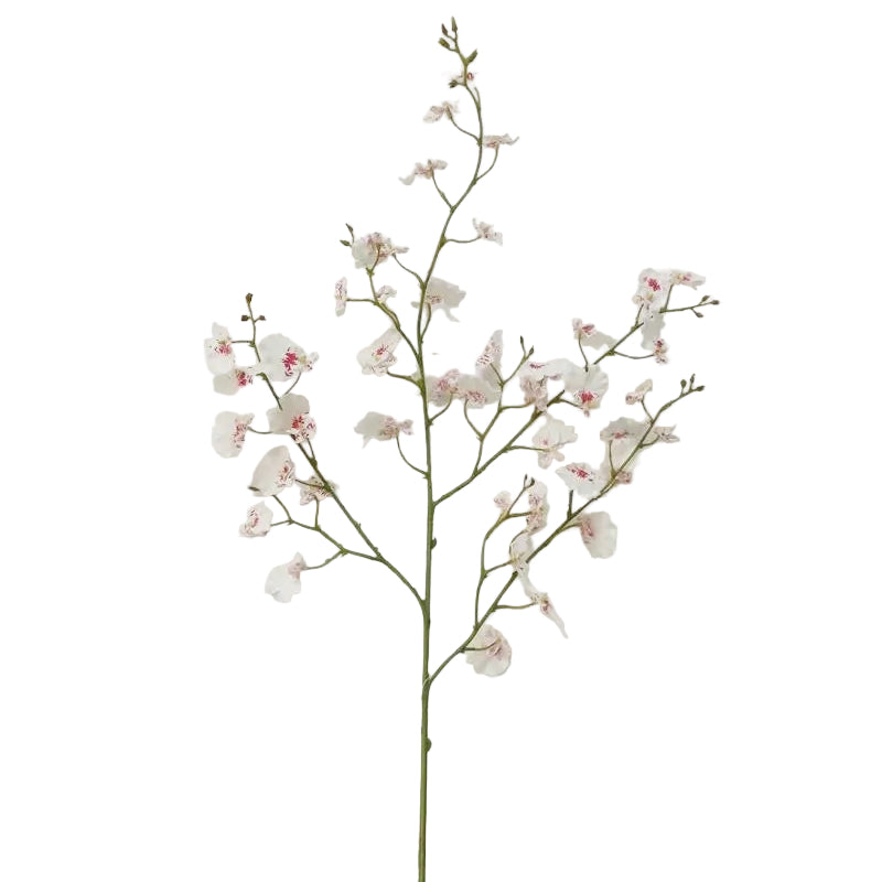A single artificial orchid stem with delicate white blossoms and soft pink centers.