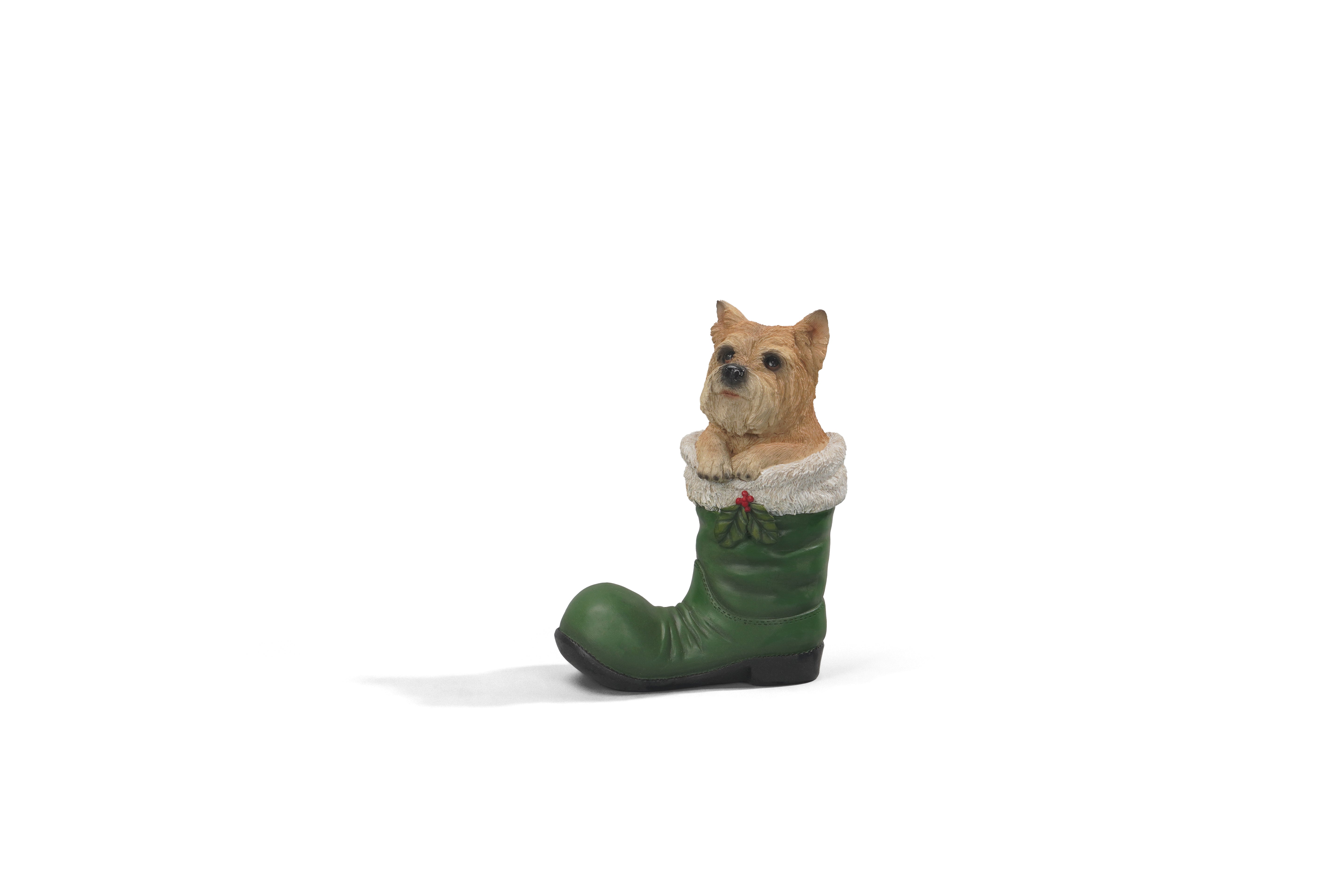 DOG IN GREEN BOOT