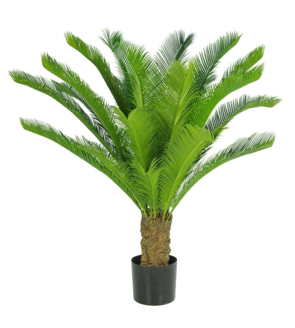 100CM BABY CYCUS PALM