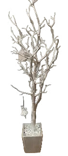 150CM SILVER TWIG TREE