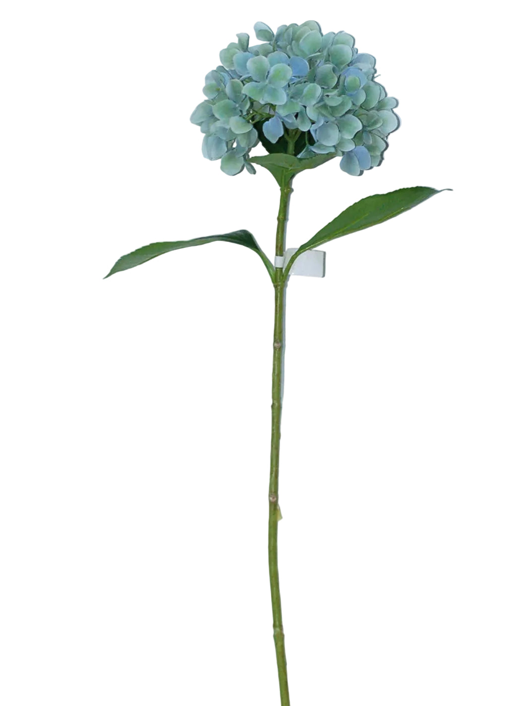 LG GREEN HYDRANGEA STEM