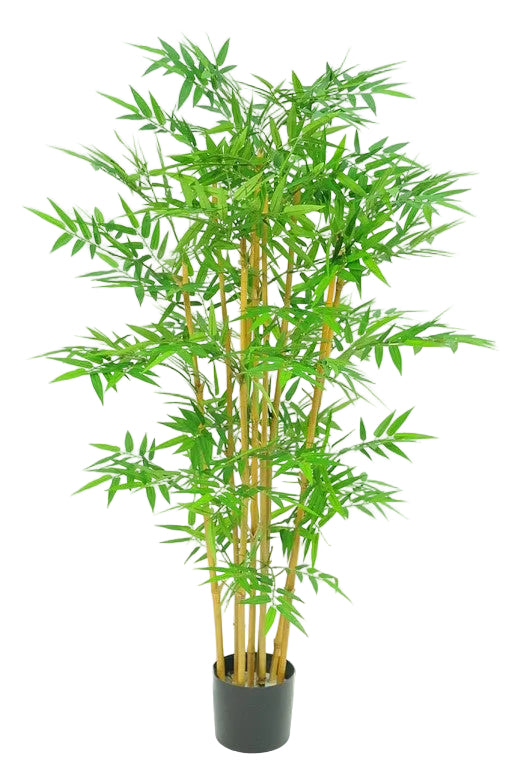 3' ORIENTAL BAMBOO TREE