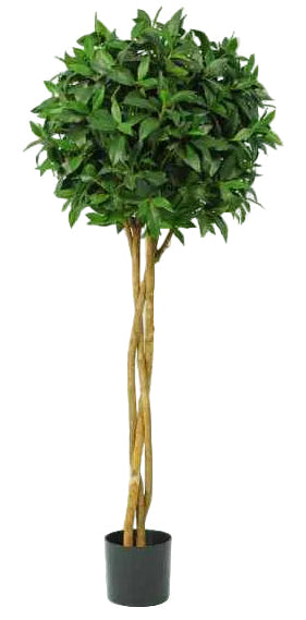 5 FT BAYLEAF BALL BRAID TREE