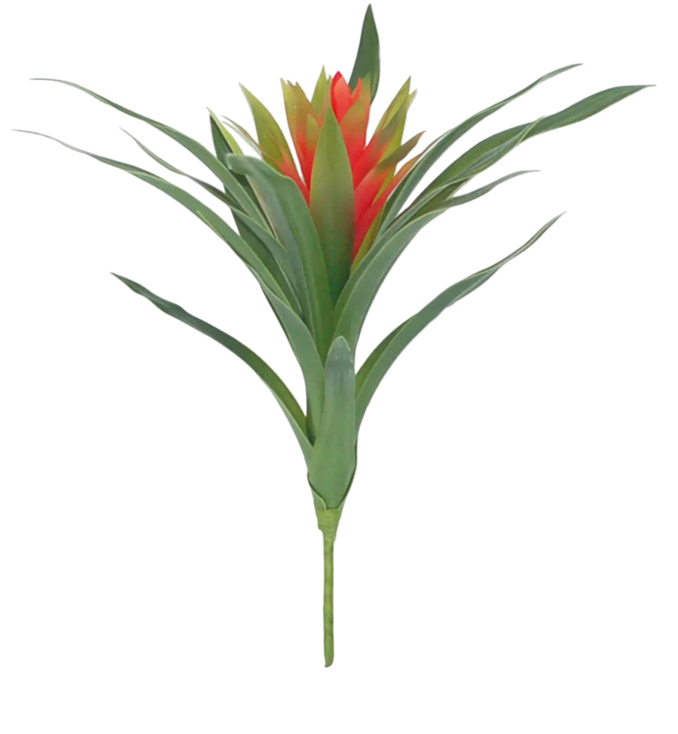 16" RED GINGER FLOWER STEM