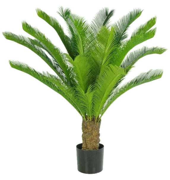 100CM BABY CYCUS PALM