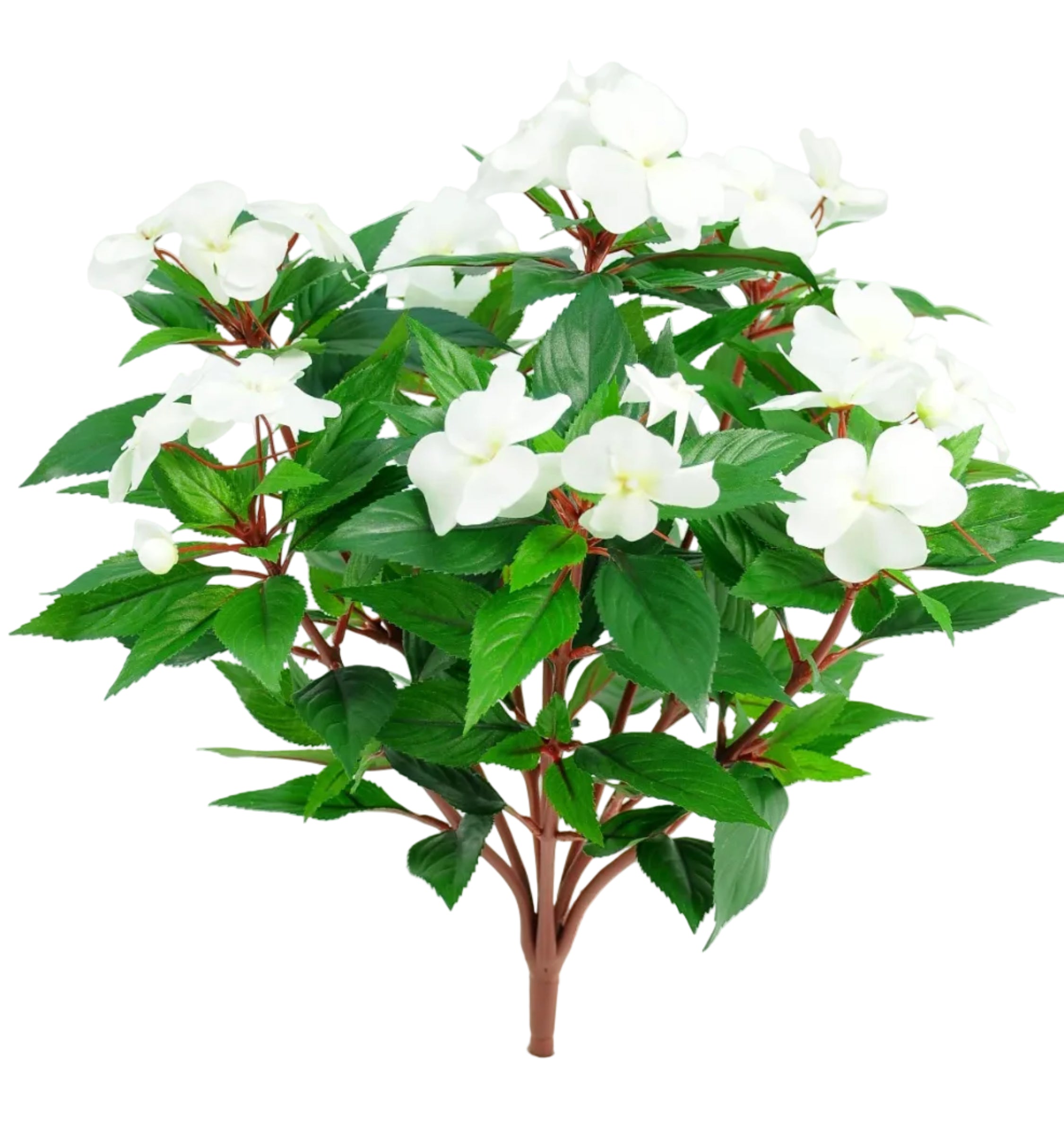 IMPATIENS BUSH WHITE