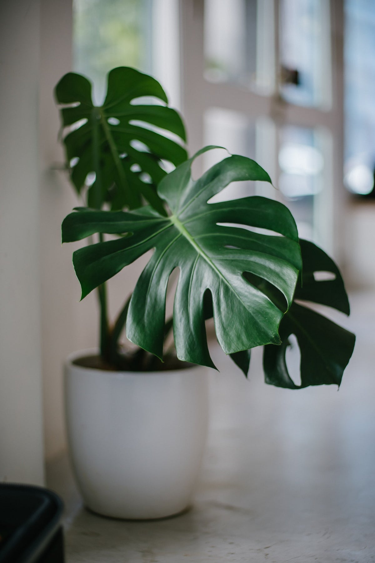 Blog Post 3