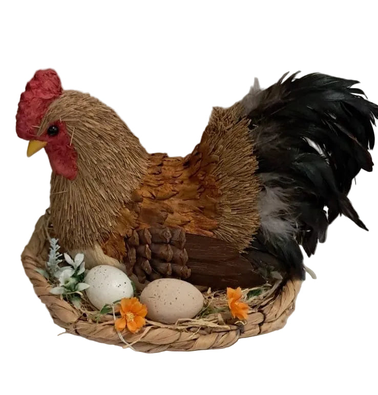 BROWN SITTING CHICKEN