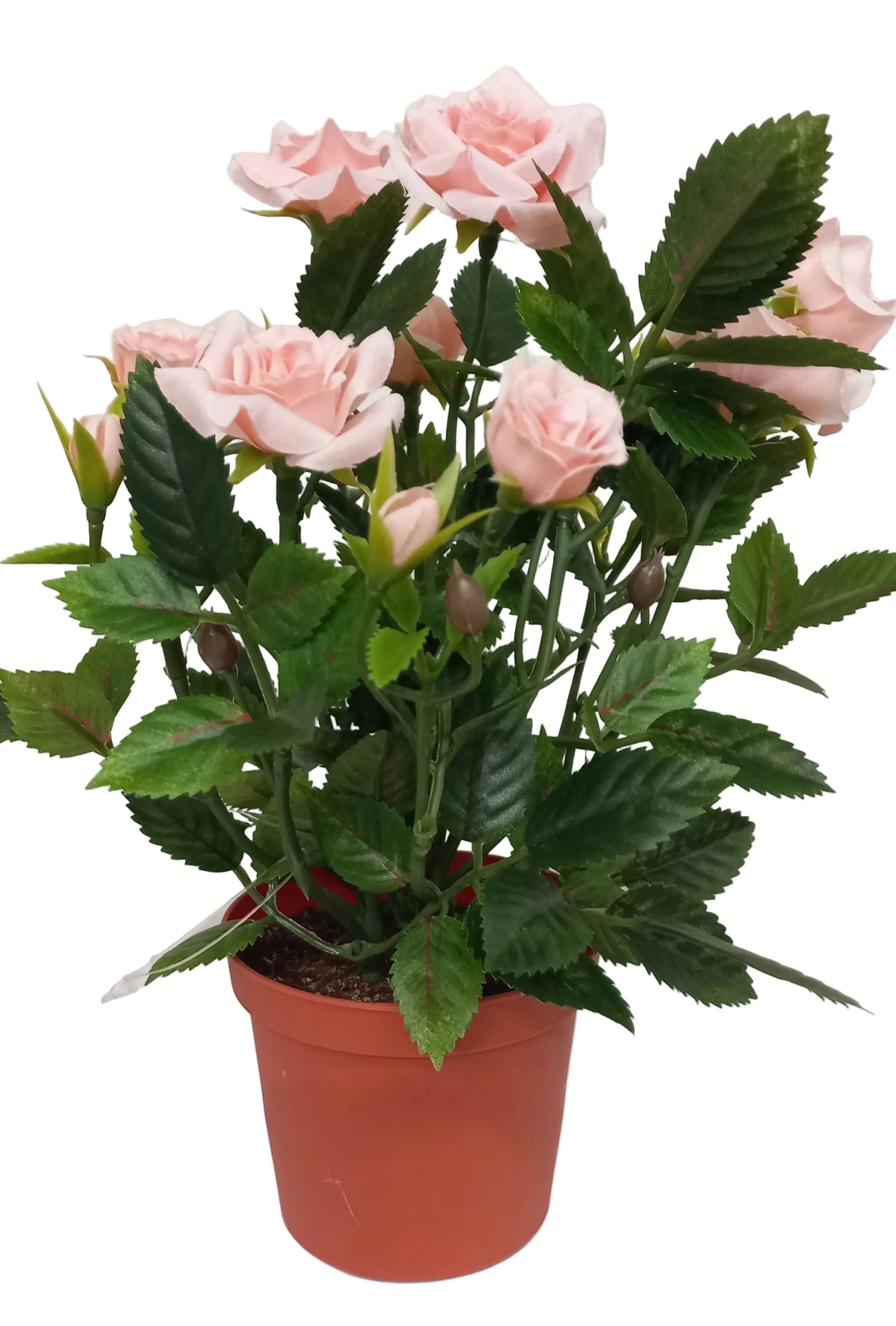 21CM PINK POTTED ROSE