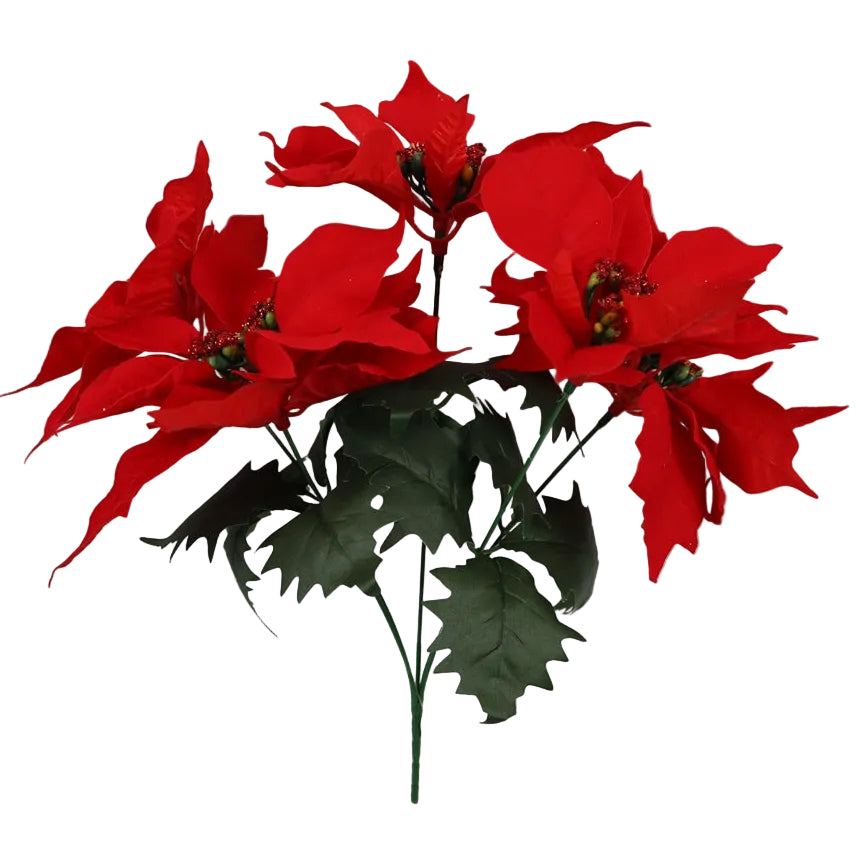 16' RED POINSETTIA BUSH