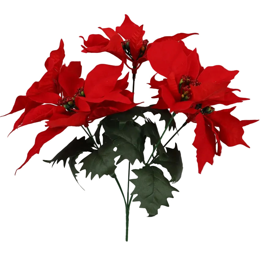 Red poinsettia bush