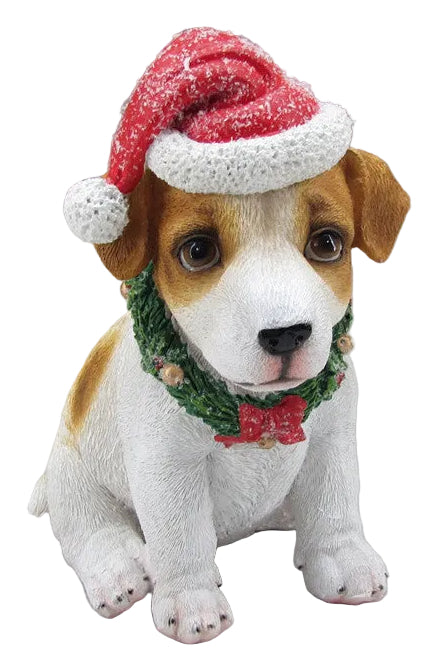 WHITE & BROWN DOG WITH HAT