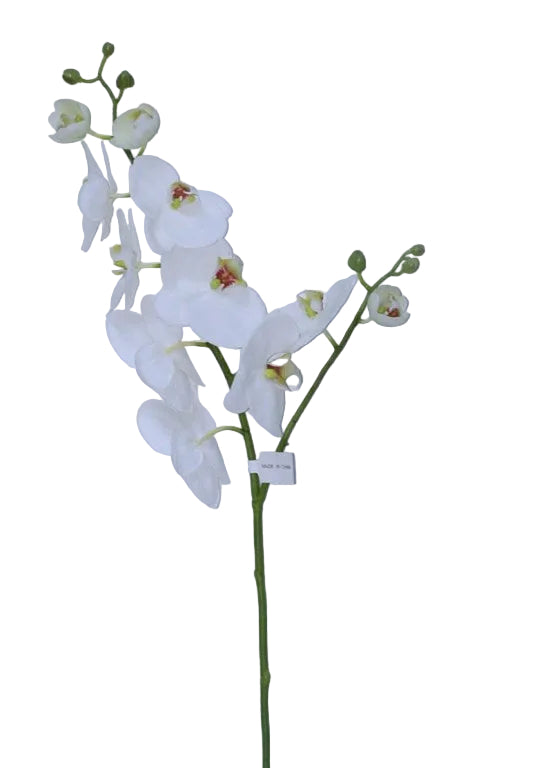 33" WHITE PHALAENOPSIS STEM
