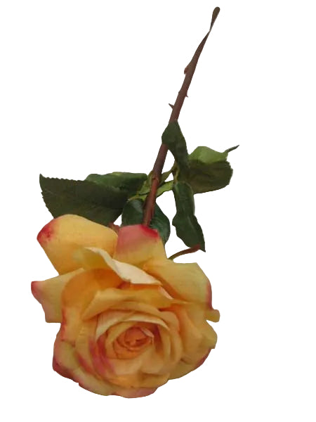 SHORT ORANGE DUCHESS ROSE