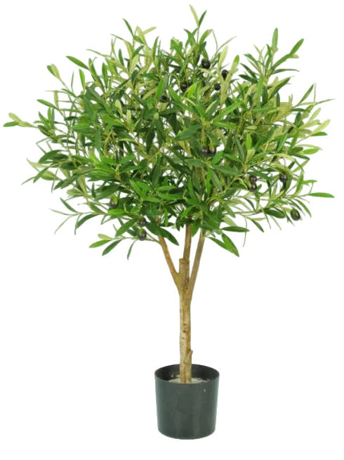 55CM OLIVE TREE