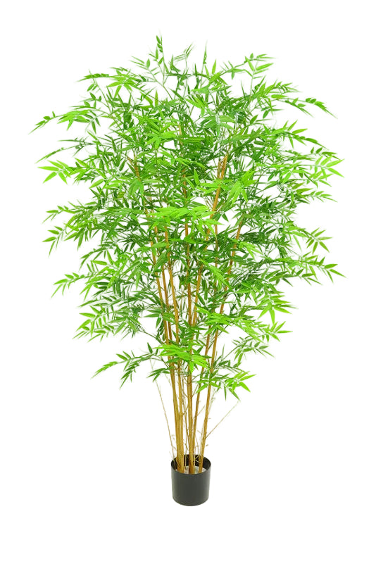 5FT BAMBOO TREE