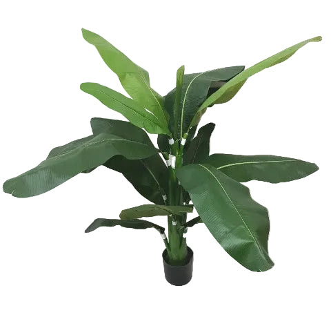 3' BANANA TREE