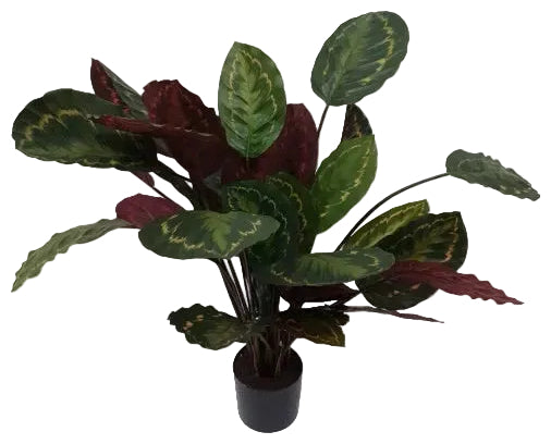 An artificial potted calathea plant with variegated green and burgundy leaves in a black pot.
